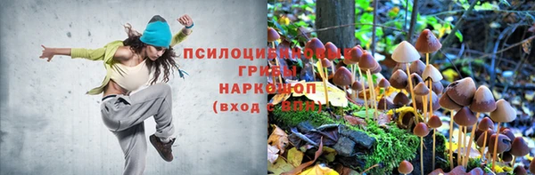 каннабис Алексеевка