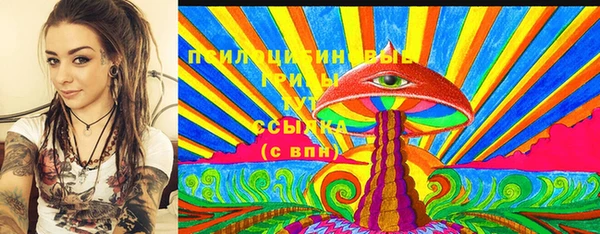 ПСИЛОЦИБИНОВЫЕ ГРИБЫ Алзамай