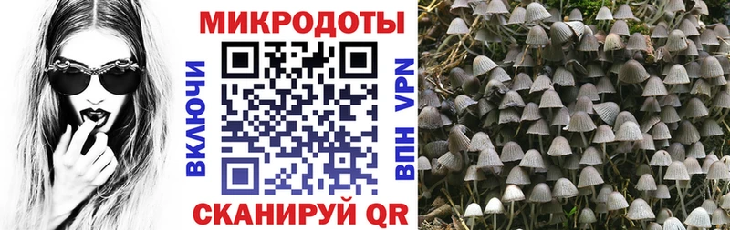 купить  цена  дарк нет формула  Галлюциногенные грибы MAGIC MUSHROOMS  Сургут  МЕГА вход 